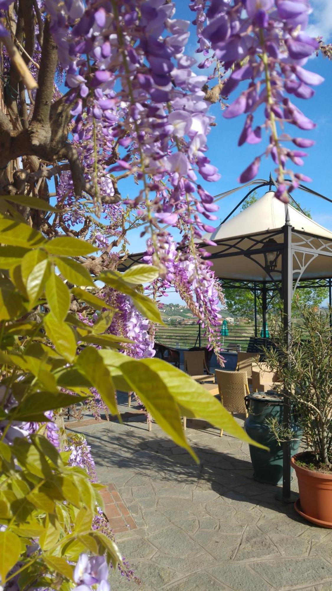 Locanda Del Boscogrande Montegrosso dʼAsti Exterior foto