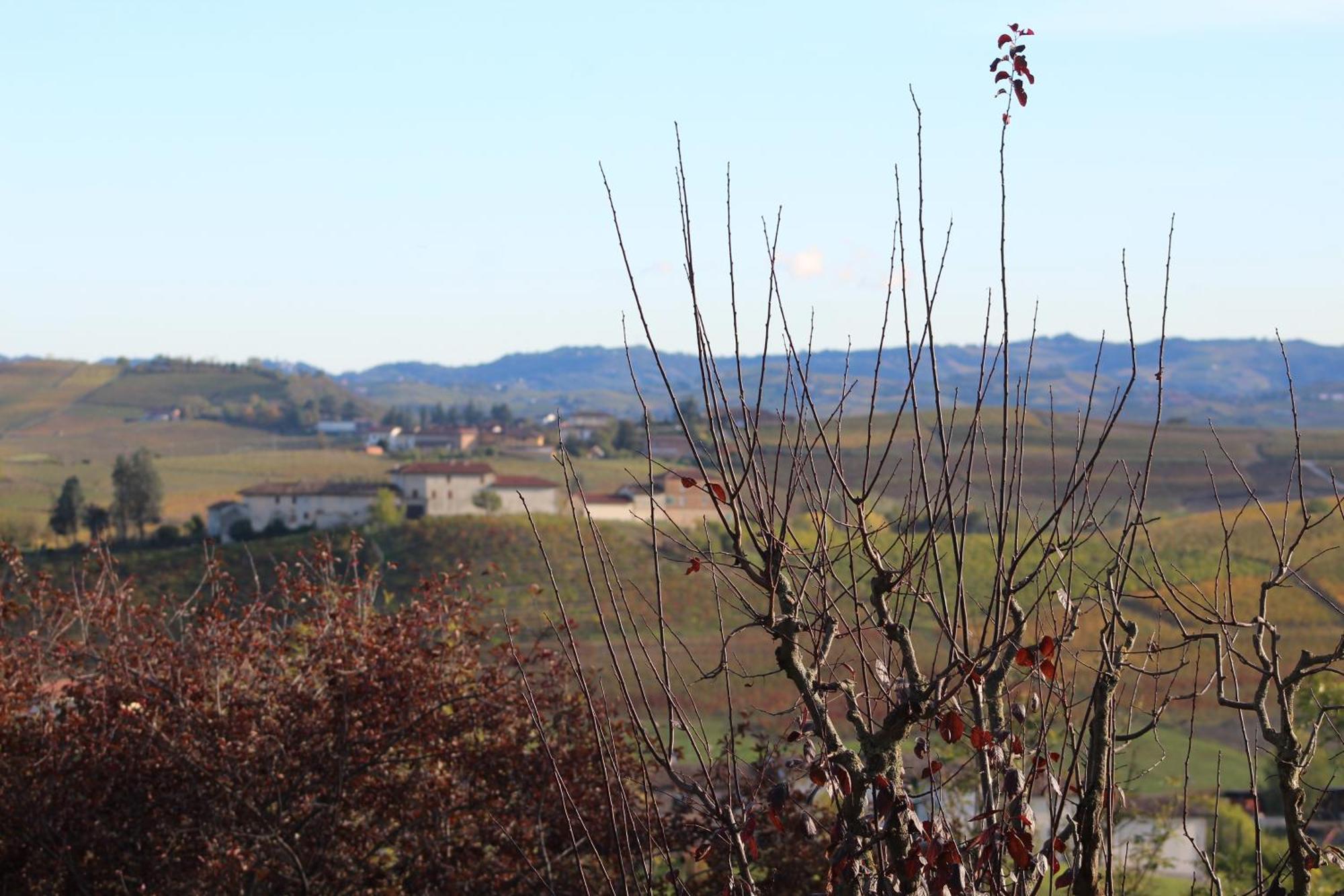 Locanda Del Boscogrande Montegrosso dʼAsti Exterior foto